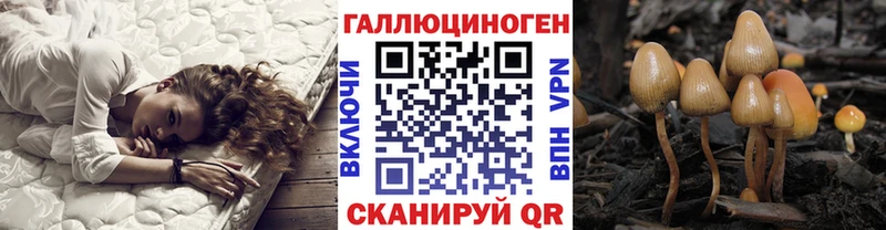 Псилоцибиновые грибы Psilocybine cubensis  Тулун 
